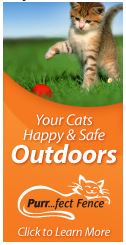 Click here to buy a Cat Fence!